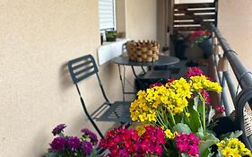 Appartement De Charme 80M2